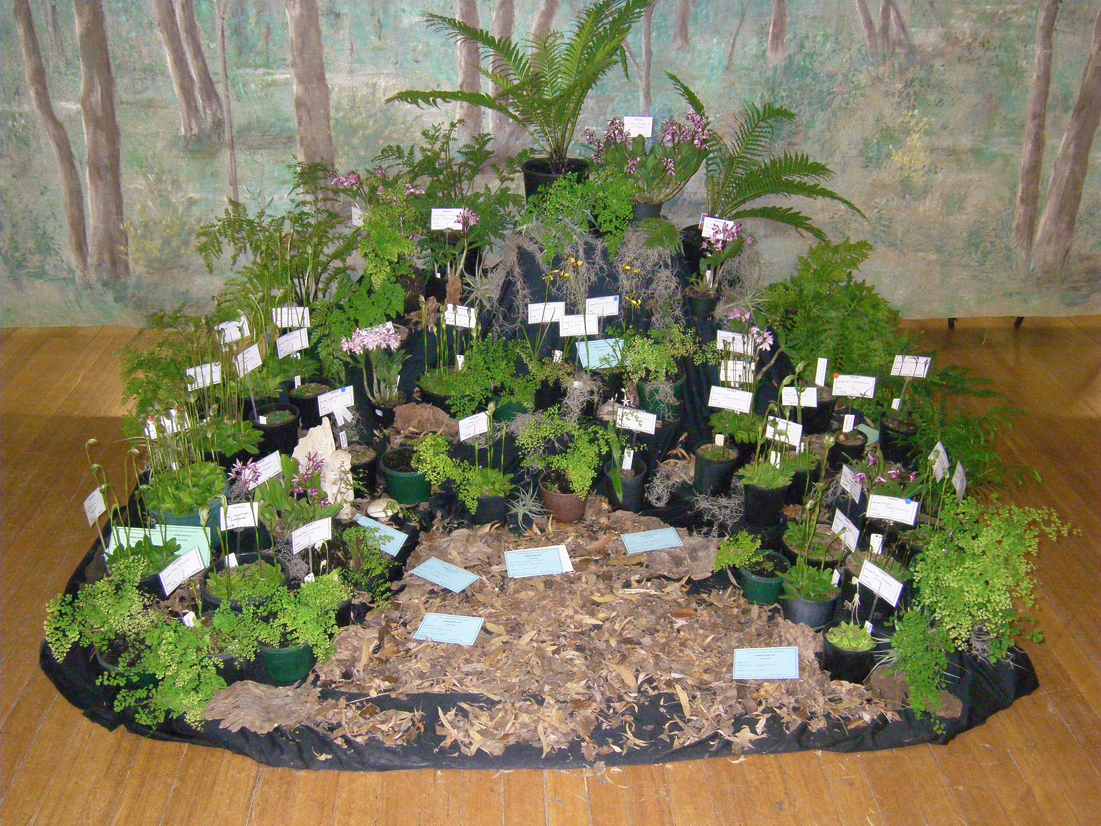 Garden display
